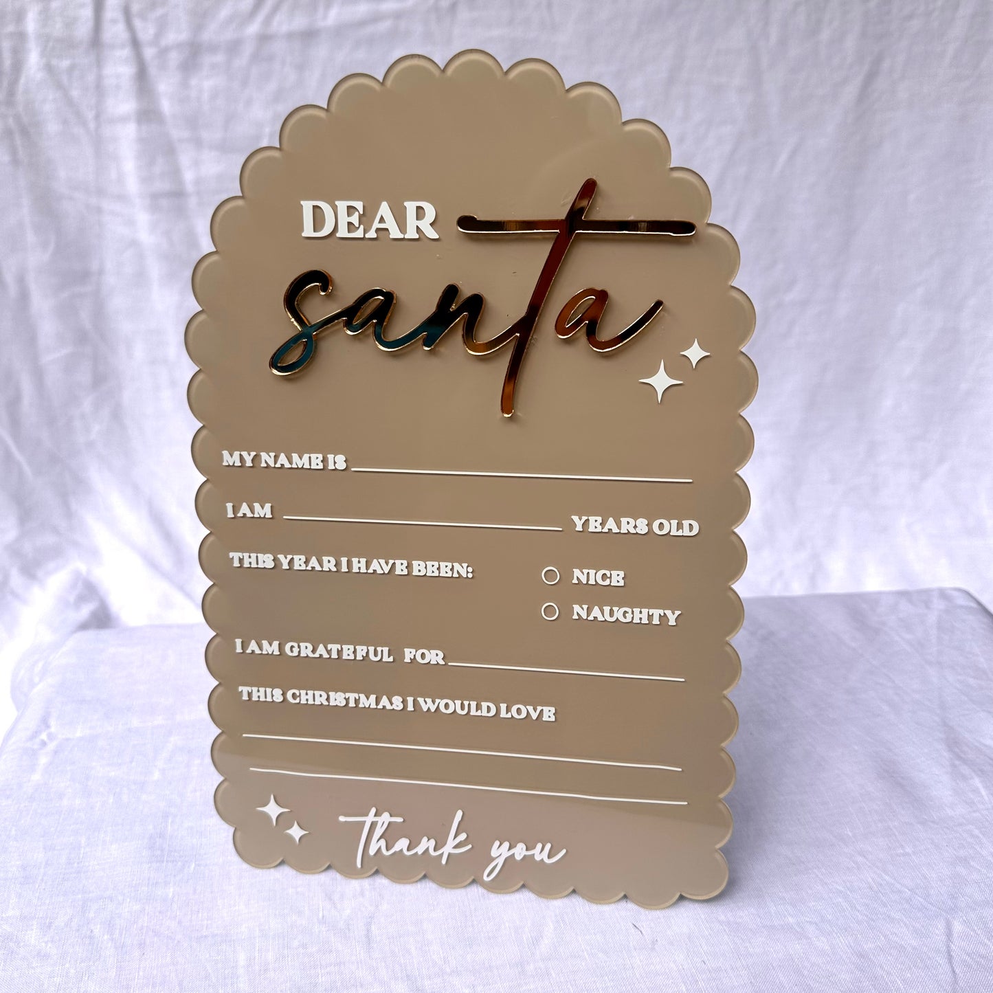 Reusable Santa Letter (with Paint Pen)