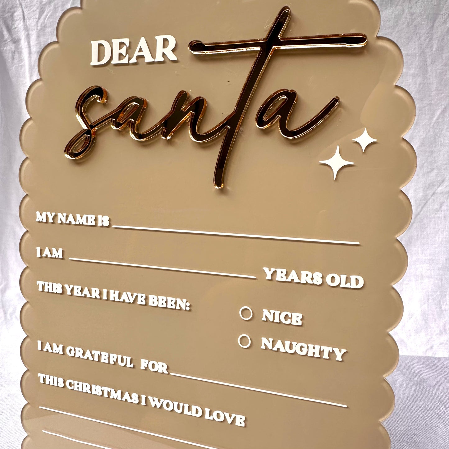 Reusable Santa Letter (with Paint Pen)