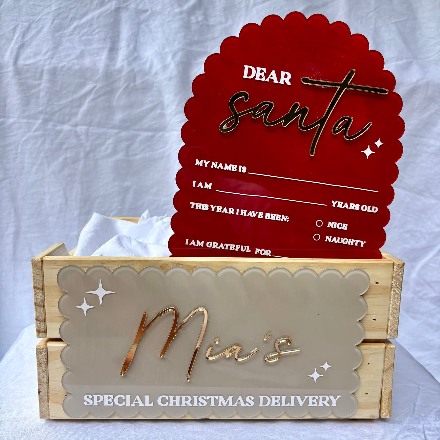 Mini Studio Christmas Crate - Sibling Bundle