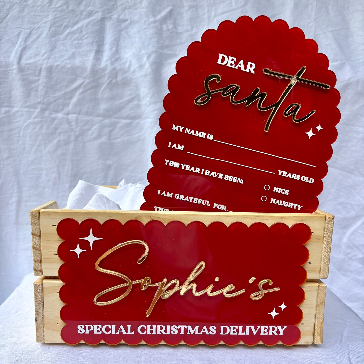 Mini Studio Christmas Crate - Sibling Bundle